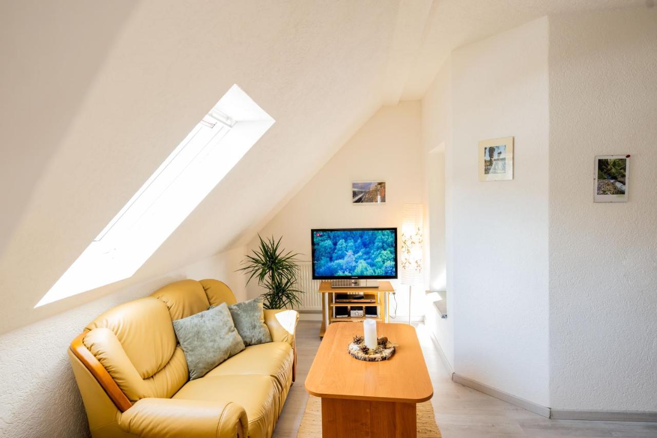 Waldblickwohnung Mit Schoener Terrasse Und Kamin Sebnitz Exterior photo