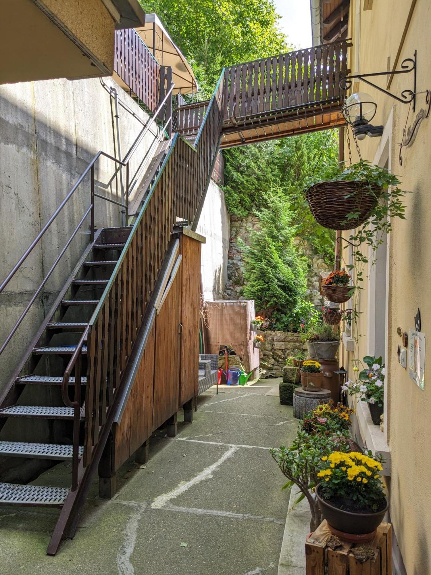 Waldblickwohnung Mit Schoener Terrasse Und Kamin Sebnitz Exterior photo
