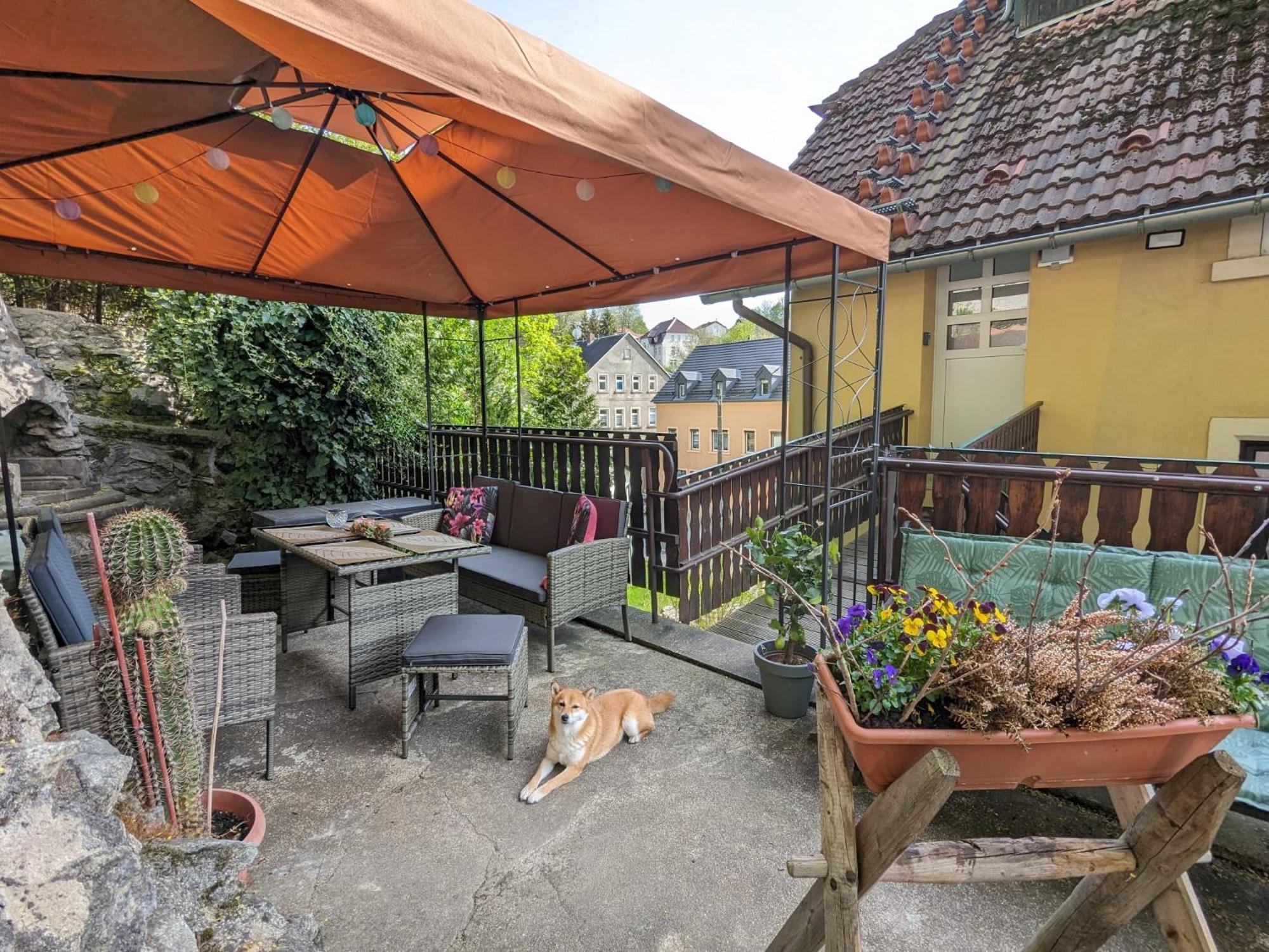 Waldblickwohnung Mit Schoener Terrasse Und Kamin Sebnitz Exterior photo